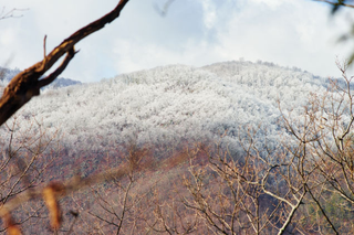 Illustration for article titled Photo Mission Gallery: Snowy Landscape